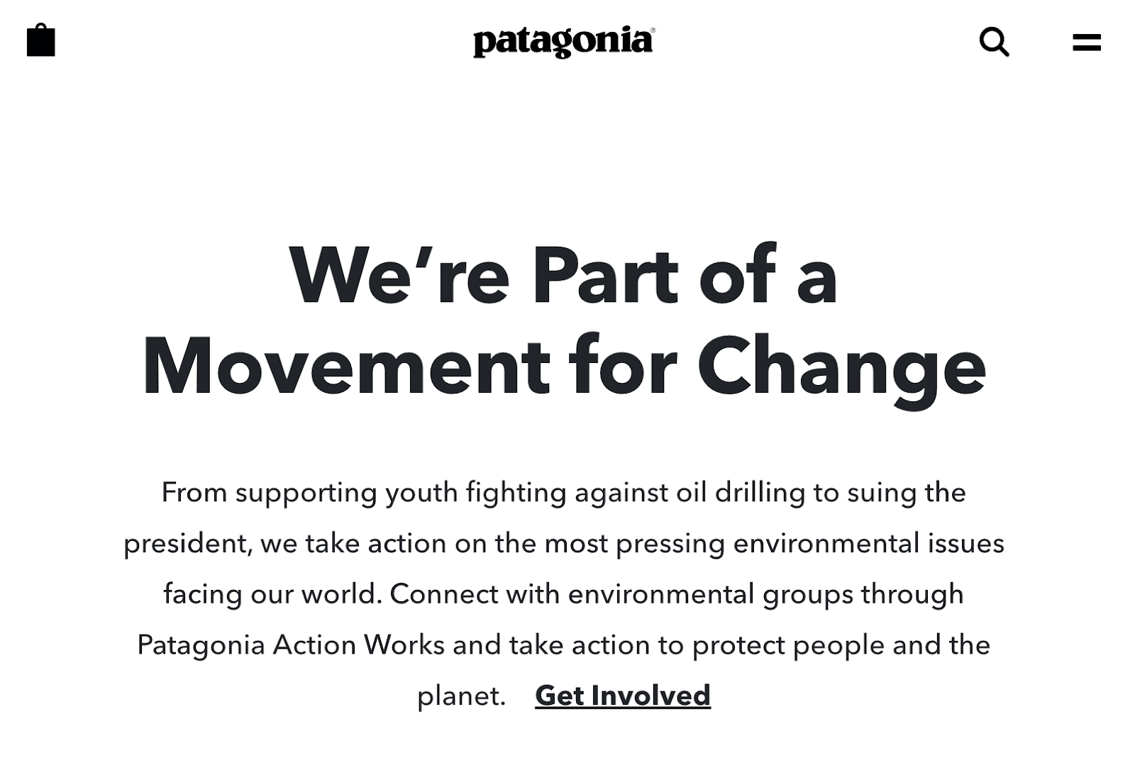 Patagonia challenges category conventions by fighting climate change