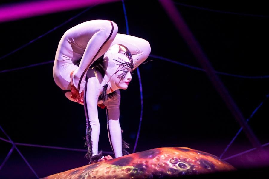 Cirque du Soleil did not create a blue ocean. They have many competitors.